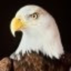 Meet your Posher, Chance